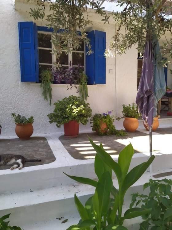 Stamoulis Apartments Kampos Marathokampou Екстериор снимка