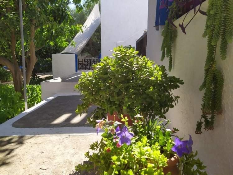 Stamoulis Apartments Kampos Marathokampou Екстериор снимка